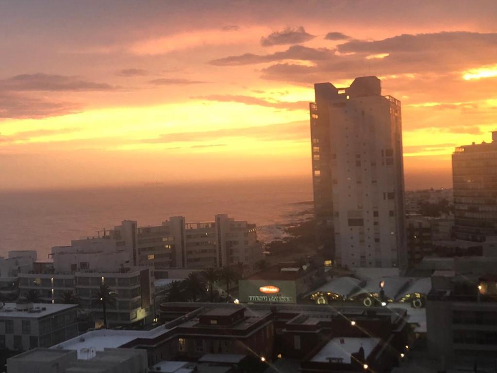 Bahia Palace, Best View And Location! Punta del Este Eksteriør bilde